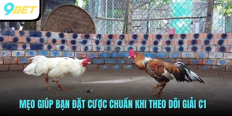 Đá Gà C1: Giải Đấu Đỉnh Cao, Kịch Tính Và Hấp Dẫn Tại 9BET 4 Mẹo giúp bạn đặt cược chuẩn khi theo dõi giải C1